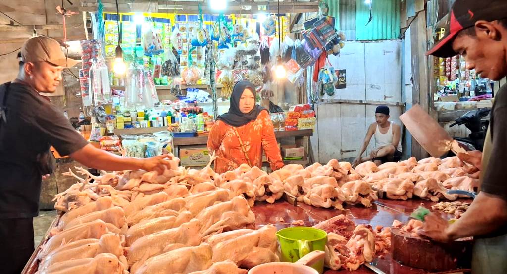 Komoditas ayam potong yang sebagian harus didatangkan dari luar Papua